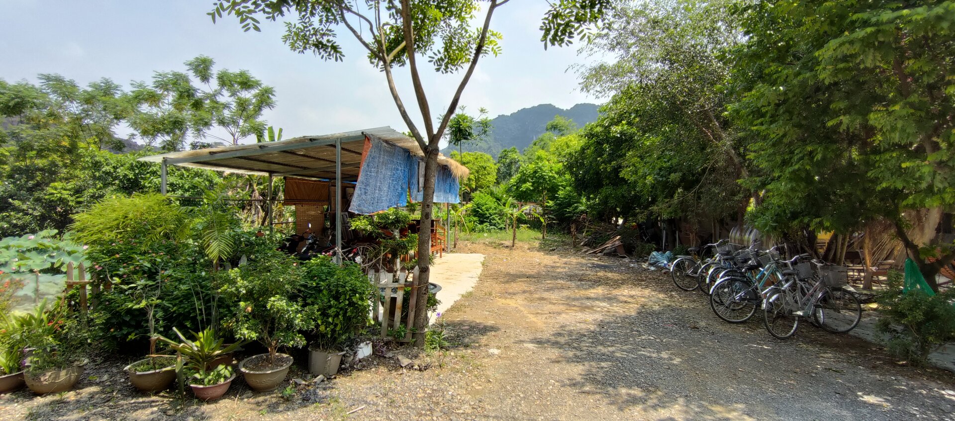 June 2023, Hanoi Vietnam - P_20230611_101928.jpg