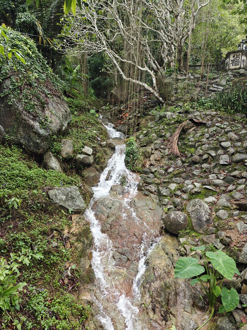 September 2024, Saigon Vietnam - IMG20240922130356.jpg