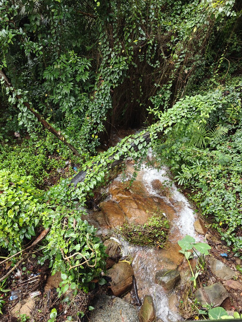 September 2024, Saigon Vietnam - IMG20240922130410.jpg