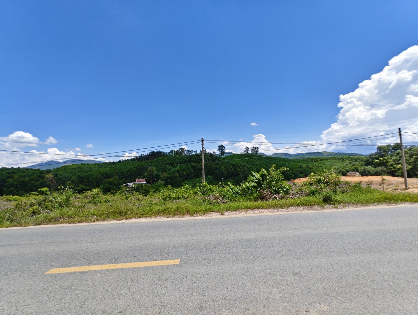 August 2025, Danang Vietnam - IMG_20250812_125438.jpg