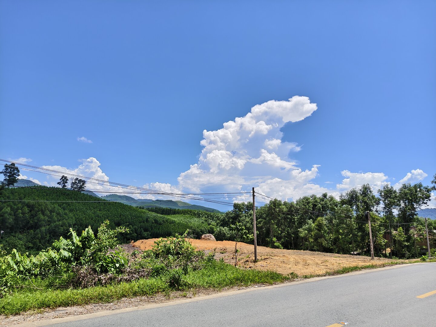 August 2025, Danang Vietnam - IMG_20250812_125502.jpg