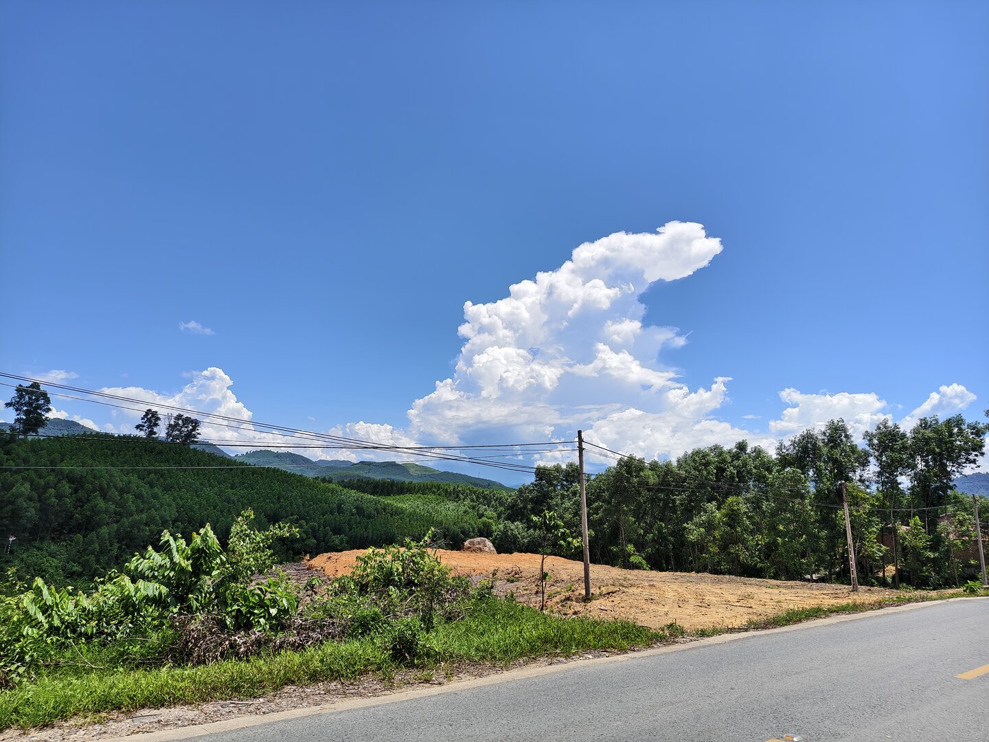 August 2025, Danang Vietnam - IMG_20250812_125503.jpg