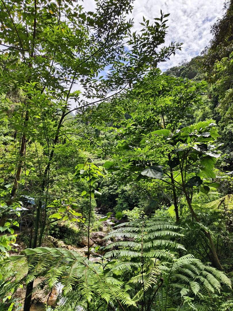 August 2025, Danang Vietnam - IMG_20250813_100754.jpg