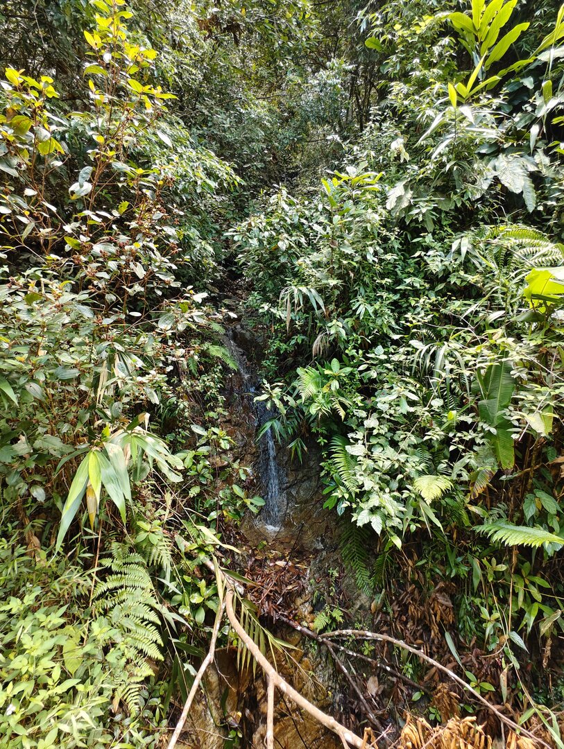 August 2025, Danang Vietnam - IMG_20250813_100939.jpg