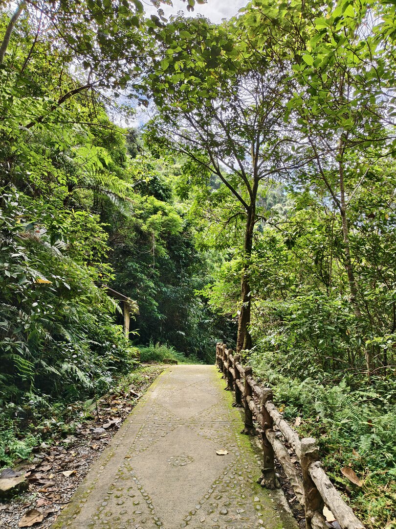 August 2025, Danang Vietnam - IMG_20250813_101213.jpg