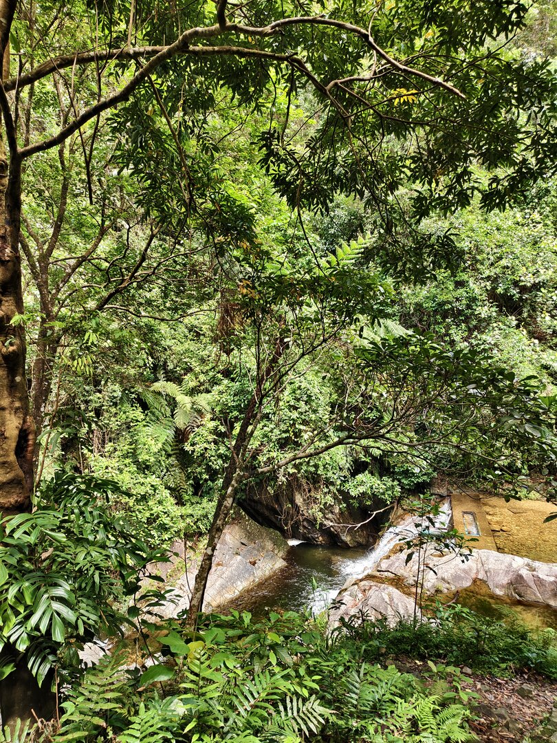 August 2025, Danang Vietnam - IMG_20250813_101222.jpg