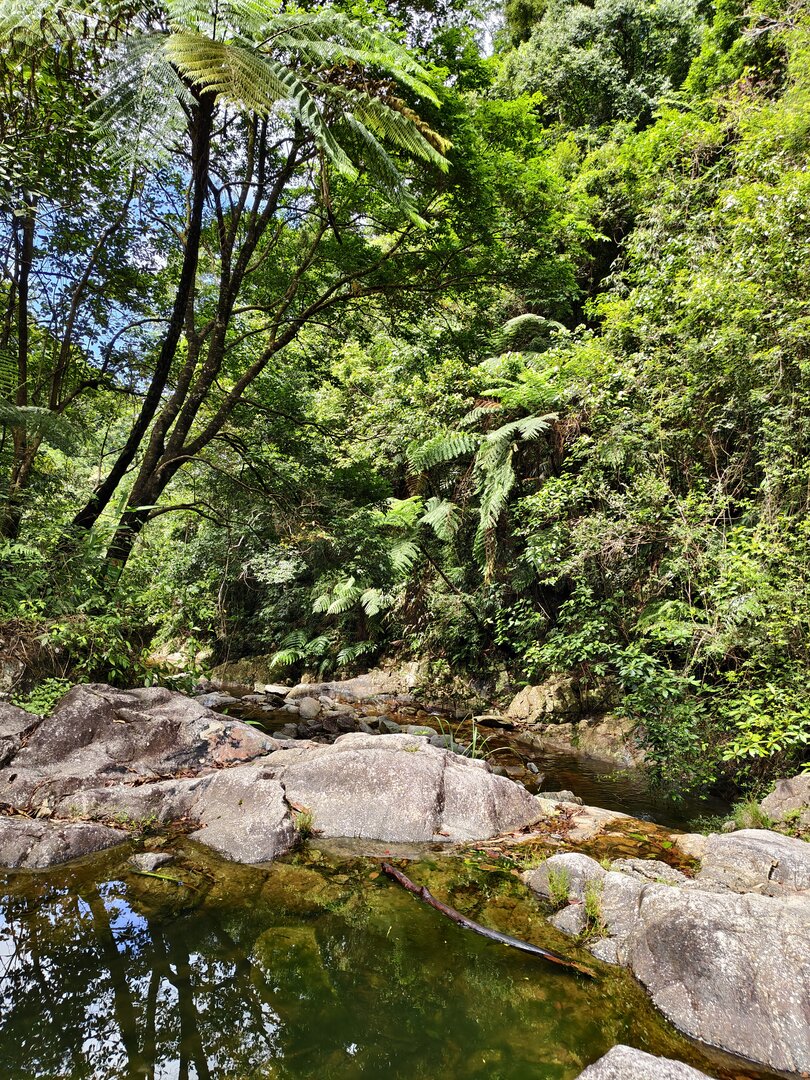 August 2025, Danang Vietnam - IMG_20250813_101421.jpg